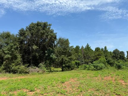 Recreational Property for sale in Stewart County, Georgia