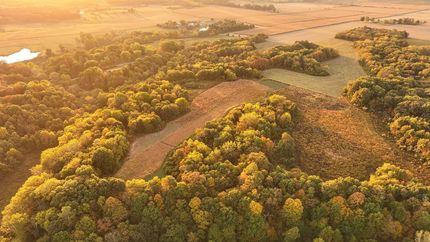 Farm Property for sale in Shelby County, Illinois