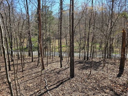 Recreational Property for sale in Polk County, Georgia