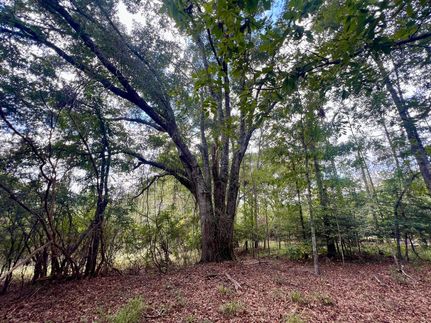 Recreational Property for sale in Pike County, Alabama