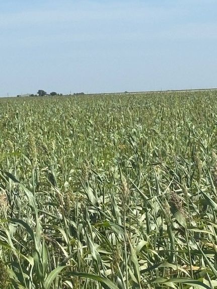 Property for sale in Floyd County, Texas