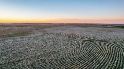 Farm Property for sale in Lamb County, Texas