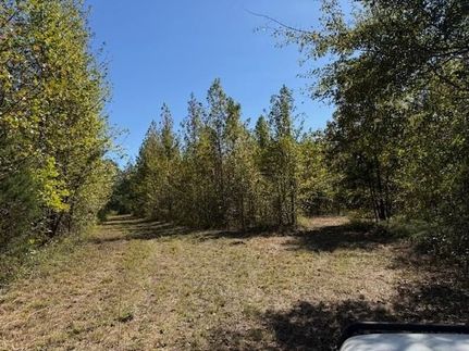 Property for sale in Fayette County, Tennessee