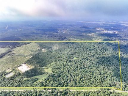 Timberland Property for sale in Walker County, Texas