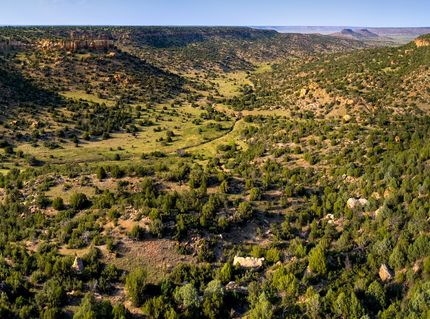 Farm Property for sale in Union County, New Mexico
