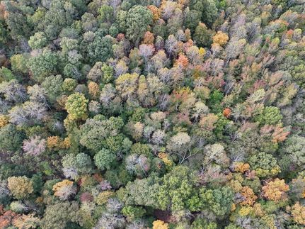 Property for sale in Butler County, Kentucky