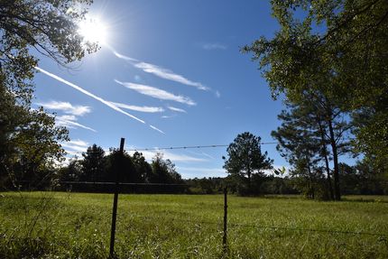 Ranch Property for sale in Alachua County, Florida
