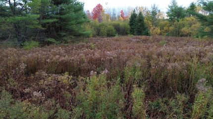 Property for sale in Piscataquis County, Maine