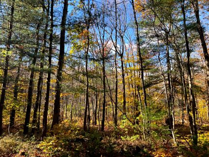 Hunting Land for sale in Oneida County, New York