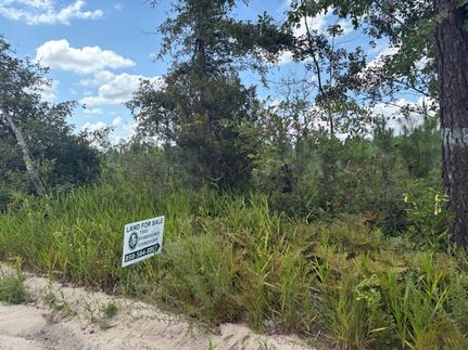 Property for sale in Hamilton County, Florida