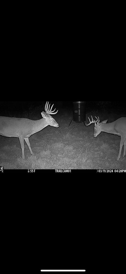 Recreational Property for sale in Schleicher County, Texas