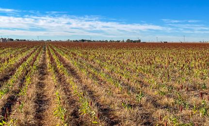 Timberland Property for sale in Hockley County, Texas