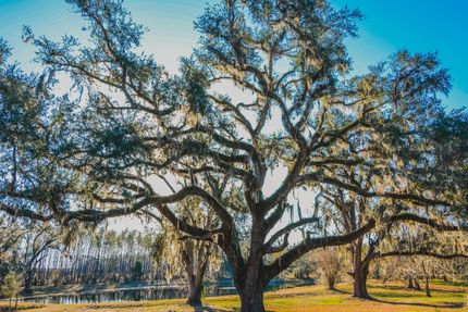 Recreational Property for sale in Suwannee County, Florida