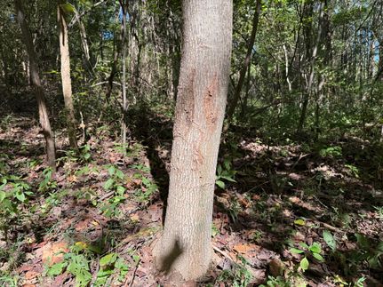 Residential Property for sale in Hardin County, Illinois