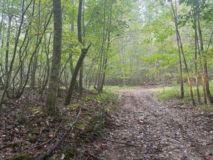 Property for sale in Grundy County, Tennessee