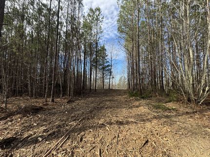 Undeveloped Land for sale in Hickman County, Tennessee