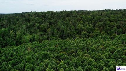 Property for sale in Ohio County, Kentucky