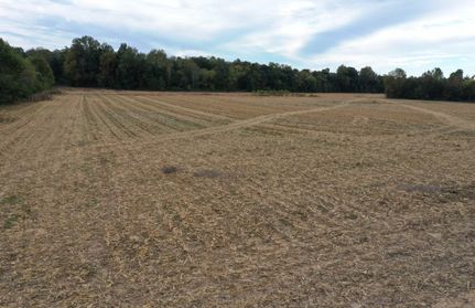 Commercial Property for sale in Graves County, Kentucky