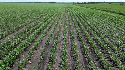 Farm Property for sale in Roberts County, South Dakota