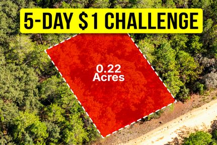 Undeveloped Land for sale in Putnam County, Florida