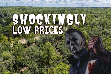 Timberland Property for sale in Citrus County, Florida