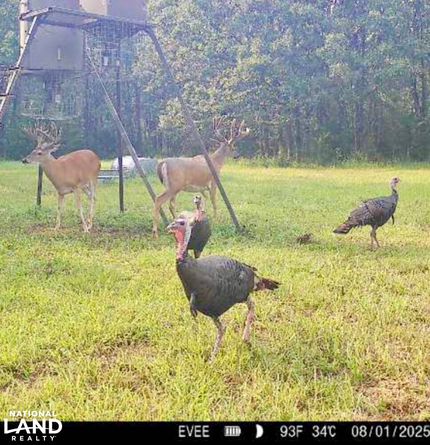 Ranch Property in Labette County, Kansas