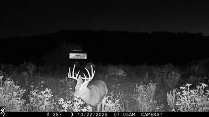 Undeveloped Land for sale in King County, Texas