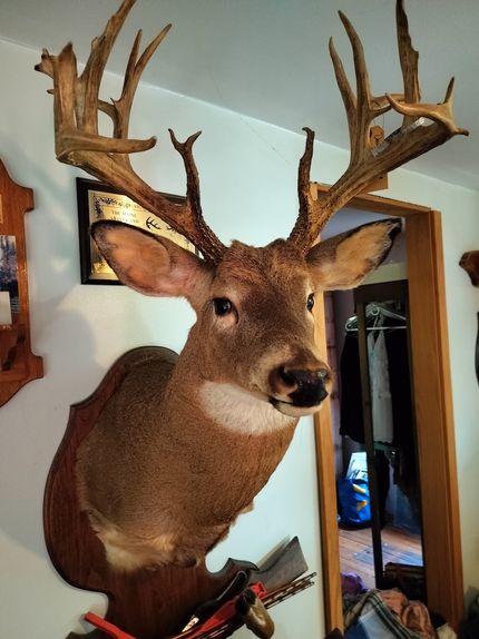 Farm Property for sale in Waldo County, Maine