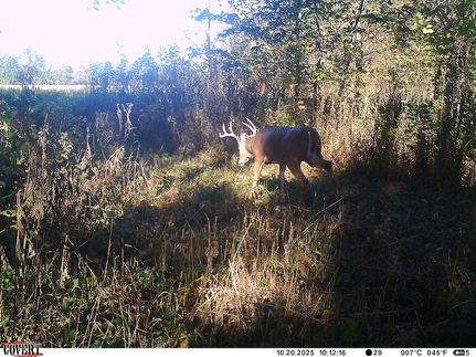 Timberland Property for sale in Clark County, Illinois