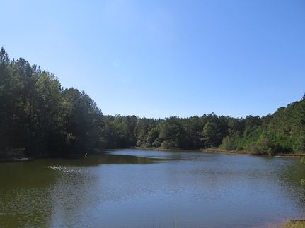 Timberland Property for sale in Wayne County, Mississippi