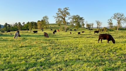 Farm Property for sale in Le Flore County, Oklahoma
