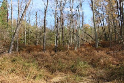 Property for sale in Frederick County, Virginia