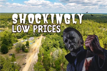 Ranch Property for sale in Putnam County, Florida