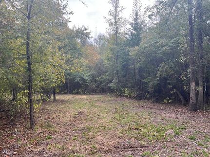 Undeveloped Land for sale in Pushmataha County, Oklahoma