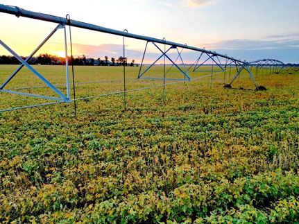 Ranch Property for sale in Madison Parish, Louisiana