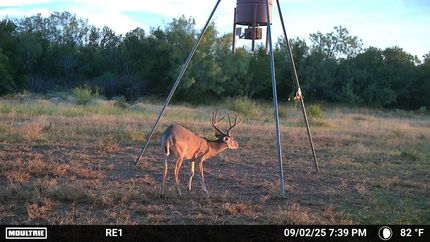 Hunting Land for sale in Zapata County, Texas