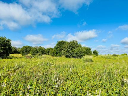 Hunting Land for sale in Eastland County, Texas