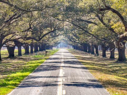 Ranch Property for sale in Allendale County, South Carolina