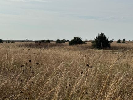 Undeveloped Land for sale in Barber County, Kansas