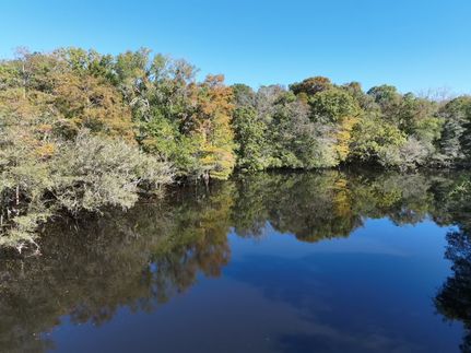 Property for sale in Williamsburg County, South Carolina