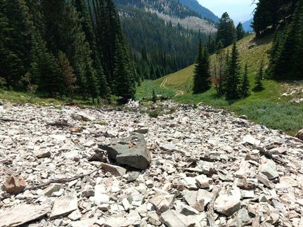 Ranch Property for sale in Lemhi County, Idaho