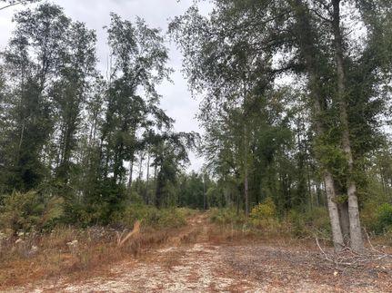 Ranch Property for sale in Covington County, Alabama