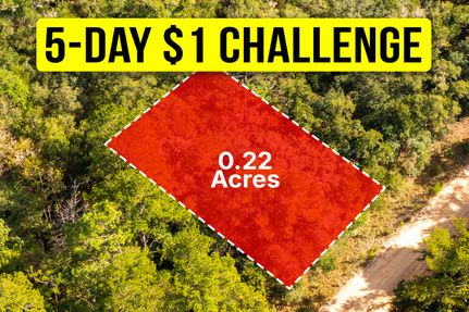 Undeveloped Land for sale in Putnam County, Florida