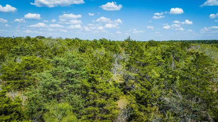 Undeveloped Land for sale in Bastrop County, Texas