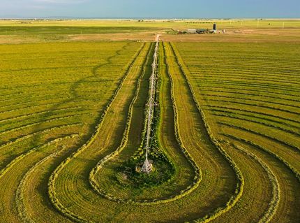 Farm Property for sale in Torrance County, New Mexico