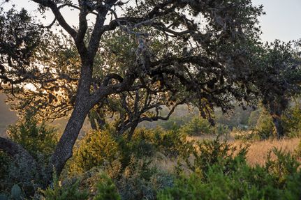 Recreational Property for sale in Real County, Texas