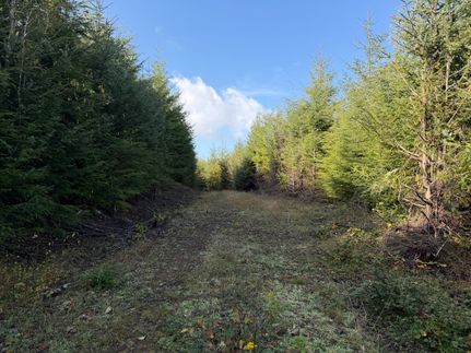 Timberland Property for sale in Clatsop County, Oregon