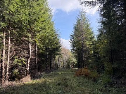 Timberland Property for sale in Clatsop County, Oregon