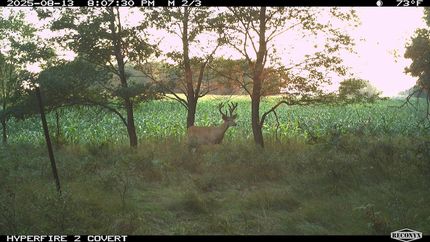 Recreational Property in Isabella County, Michigan