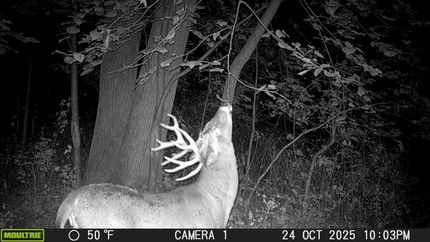 Property for sale in Butler County, Iowa